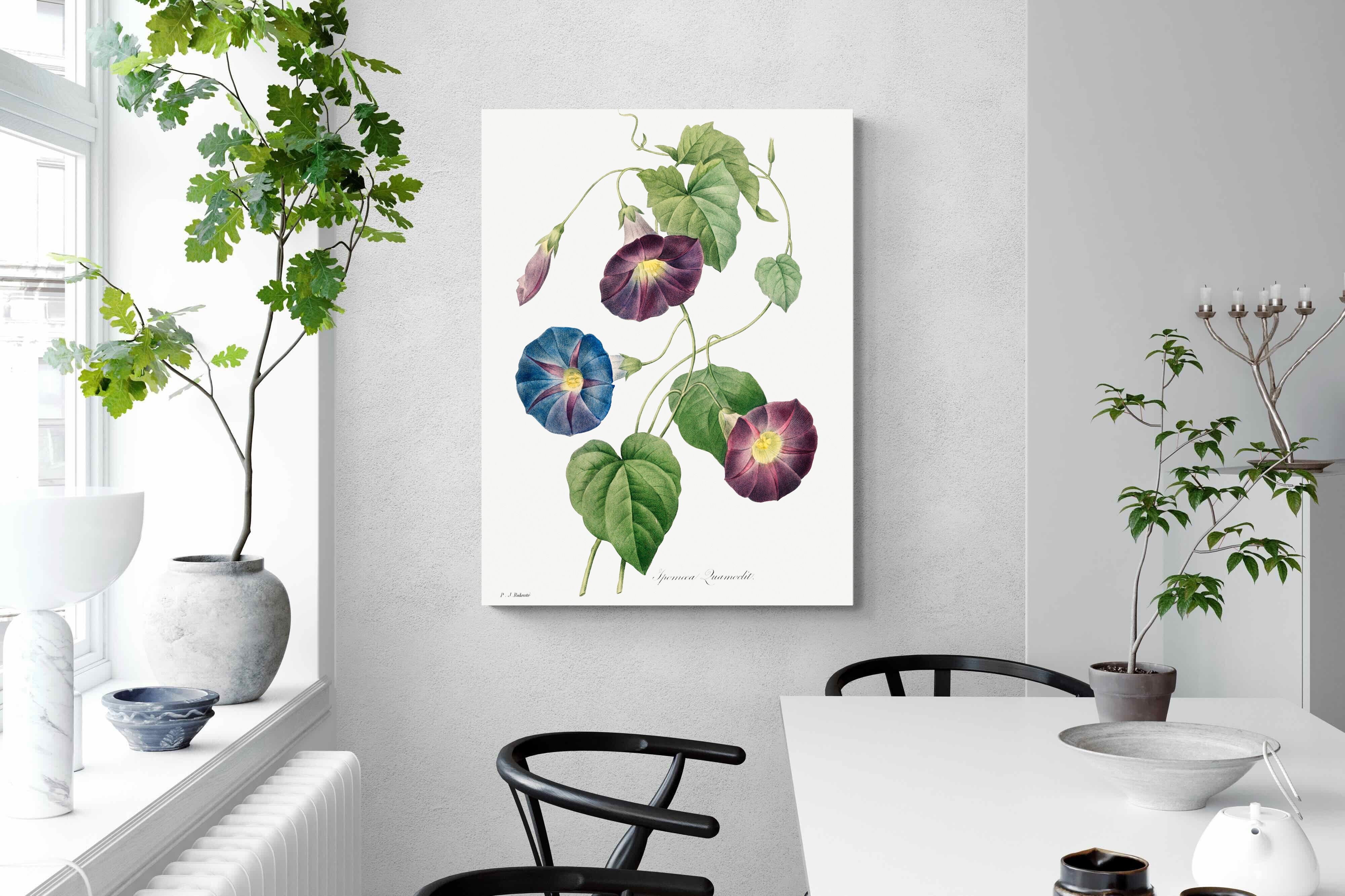 Pixalot Morning Glory Study