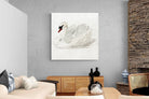 Pixalot Mute Swan