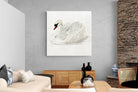 Pixalot Mute Swan