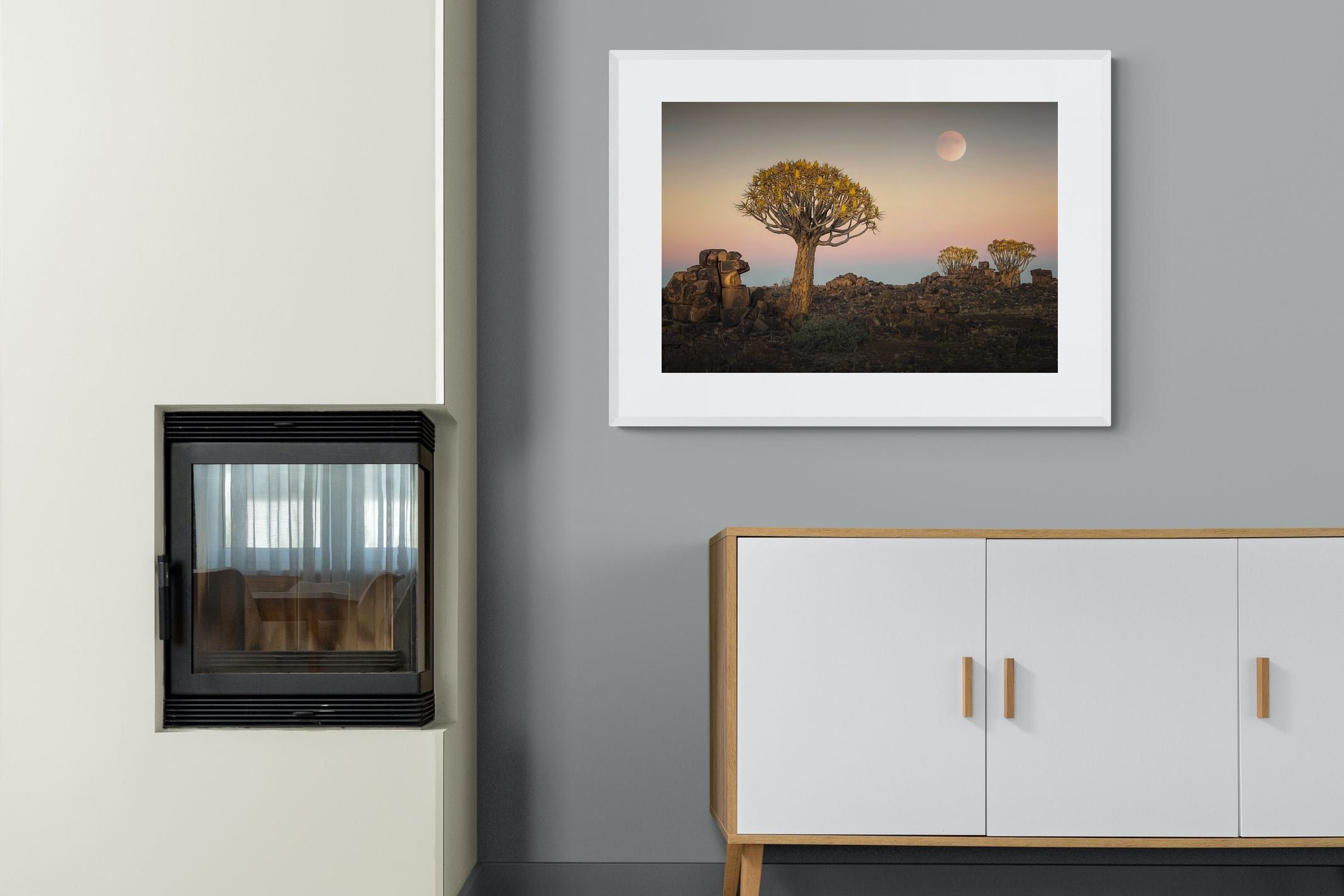 Pixalot Namibian Quiver Trees