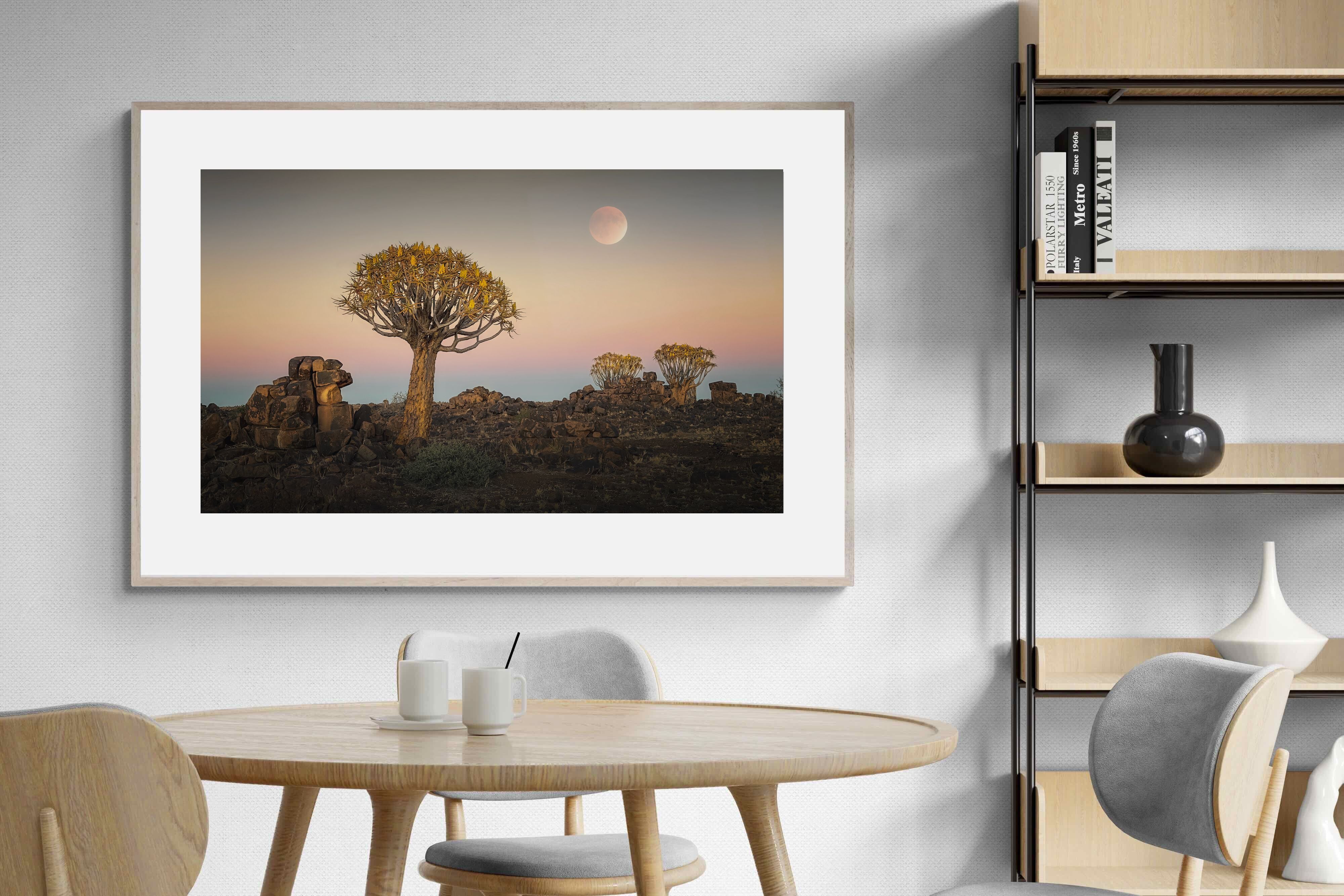 Pixalot Namibian Quiver Trees