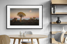 Pixalot Namibian Quiver Trees