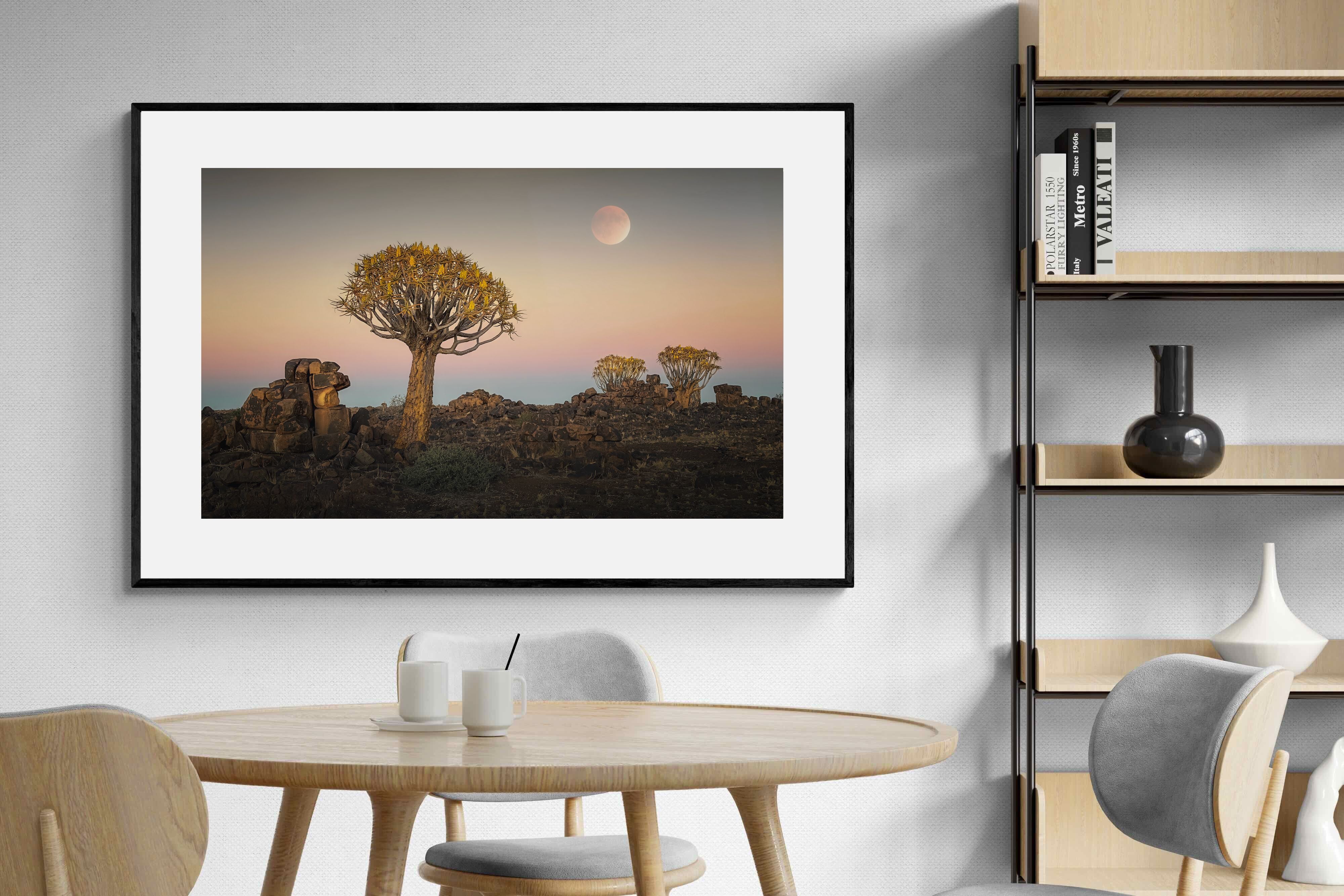 Pixalot Namibian Quiver Trees