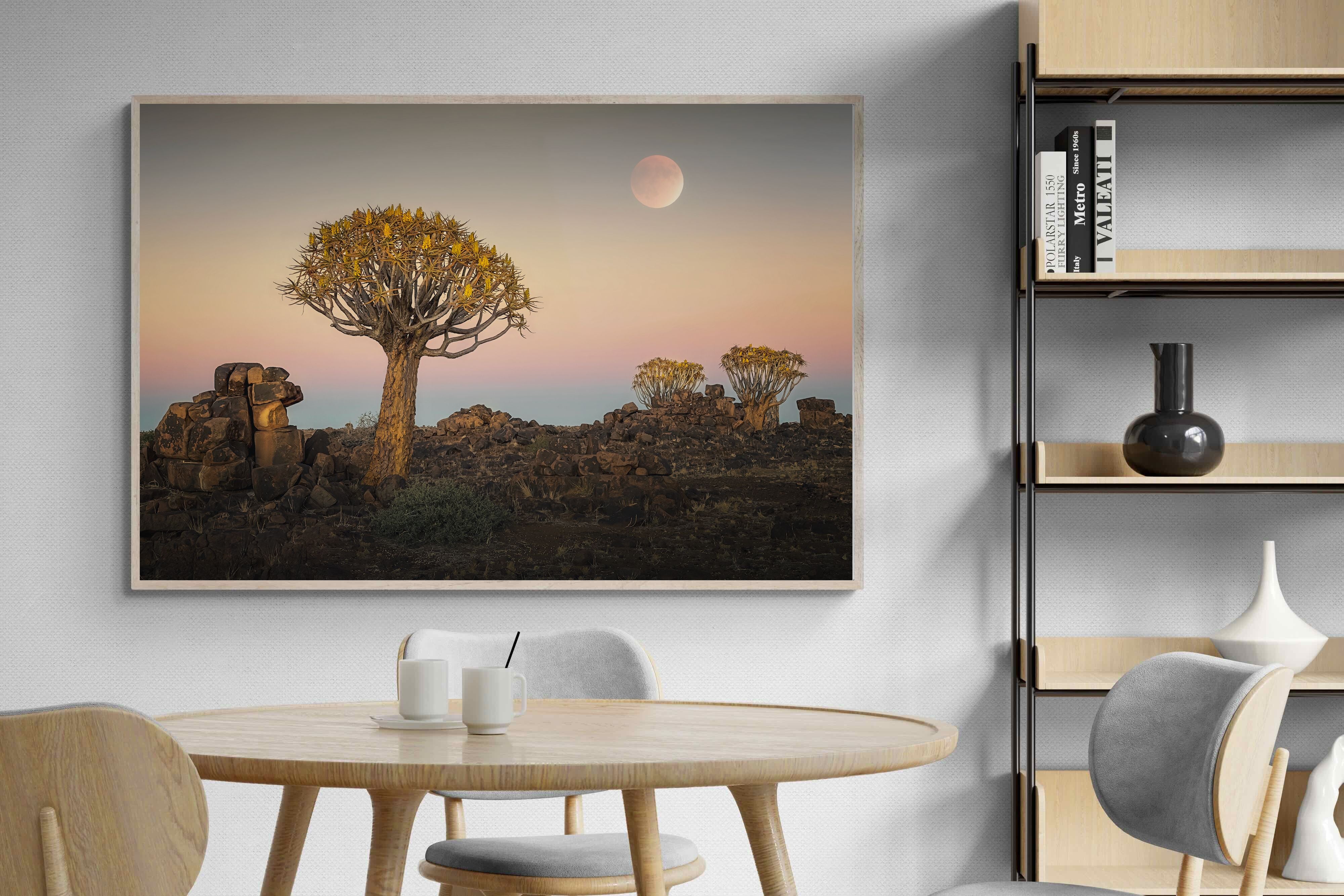 Pixalot Namibian Quiver Trees