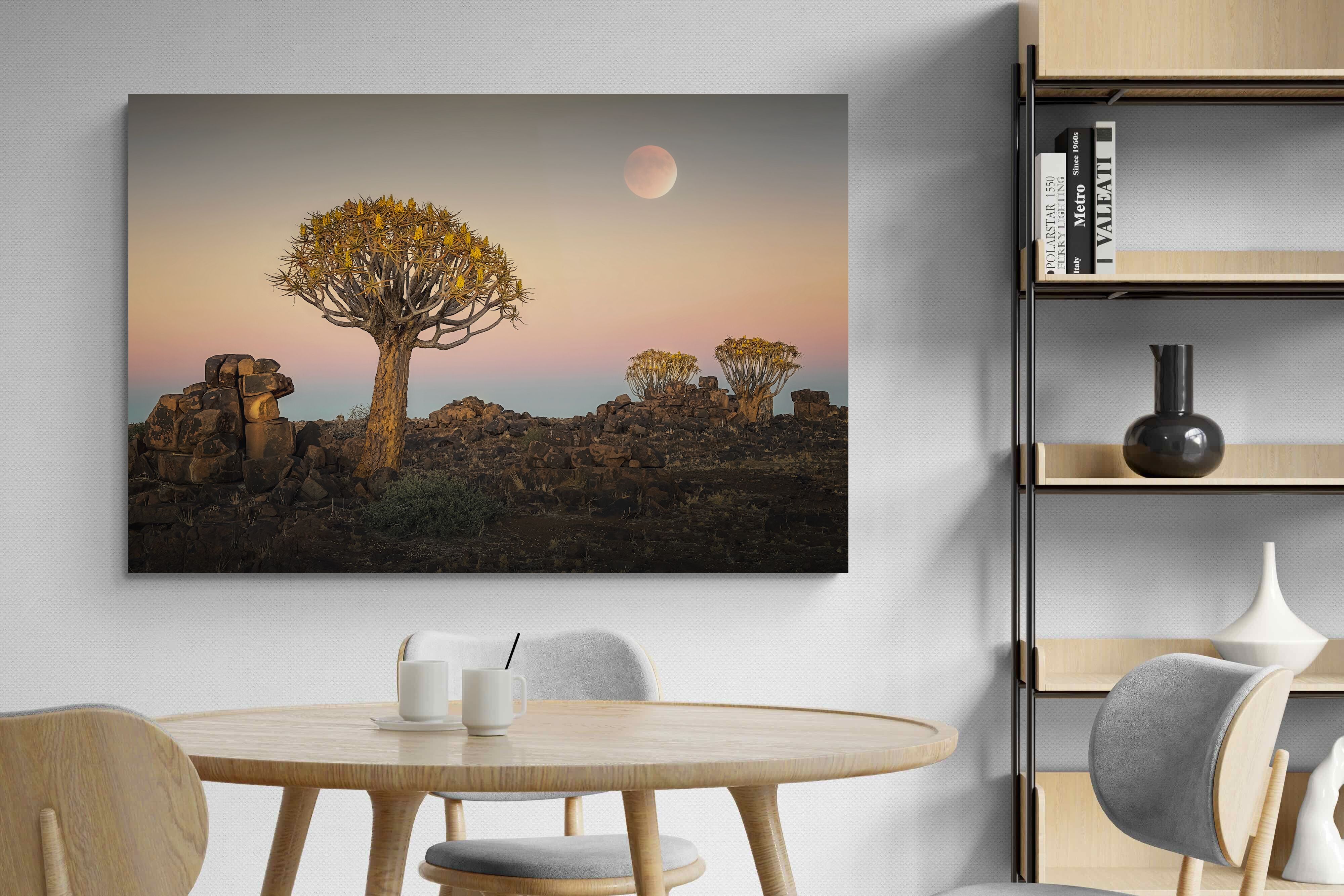 Pixalot Namibian Quiver Trees