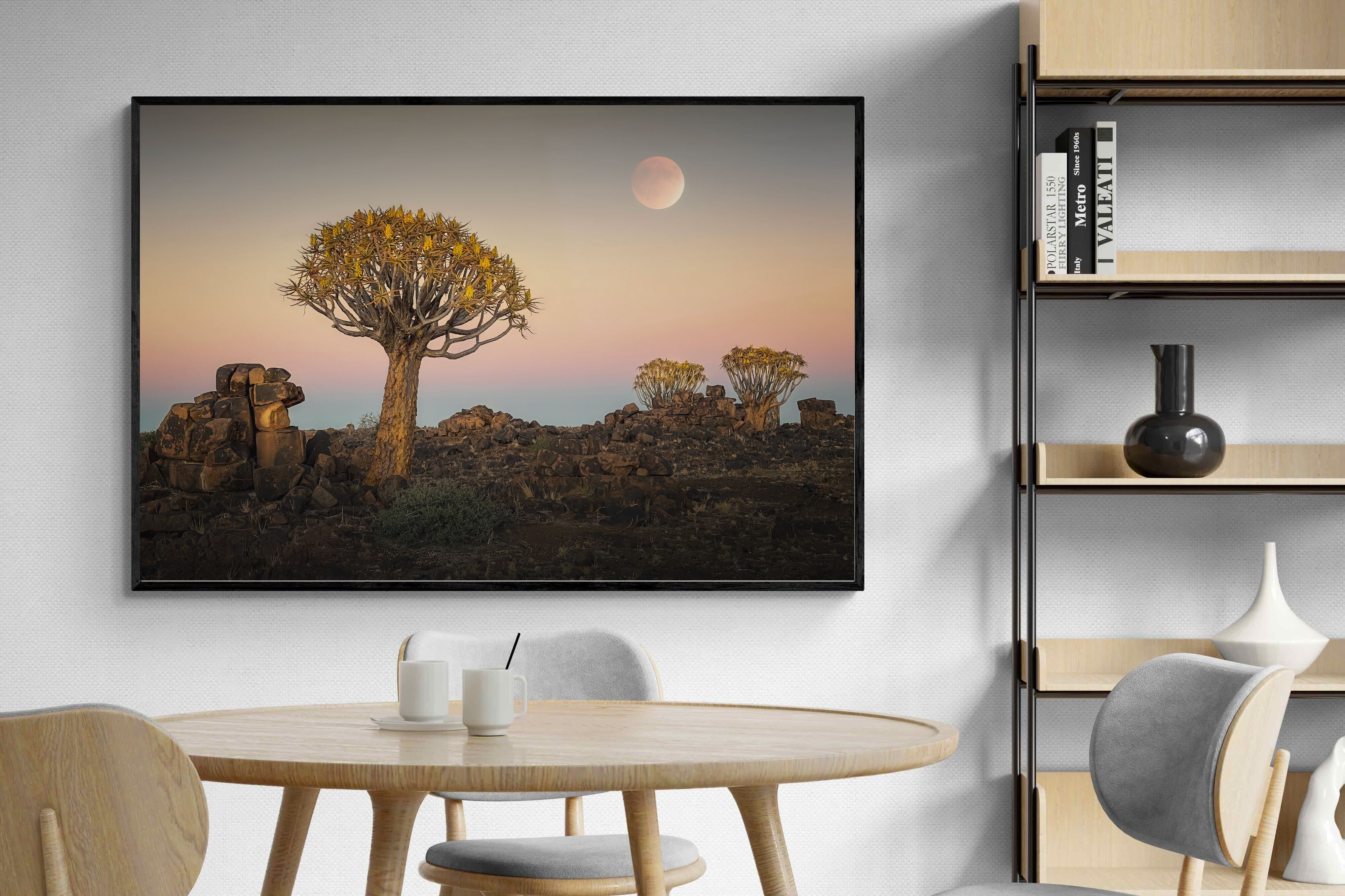 Pixalot Namibian Quiver Trees