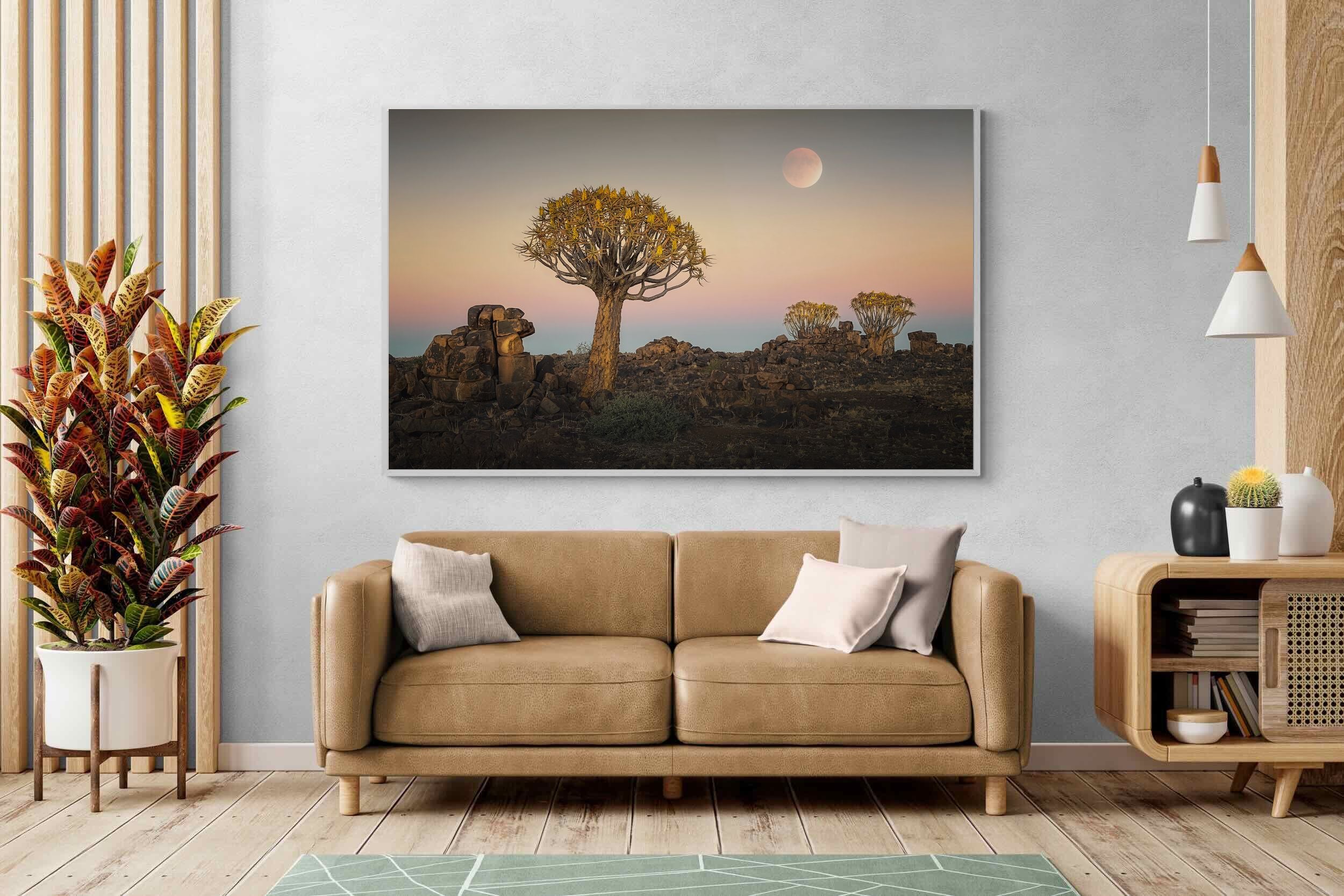 Pixalot Namibian Quiver Trees