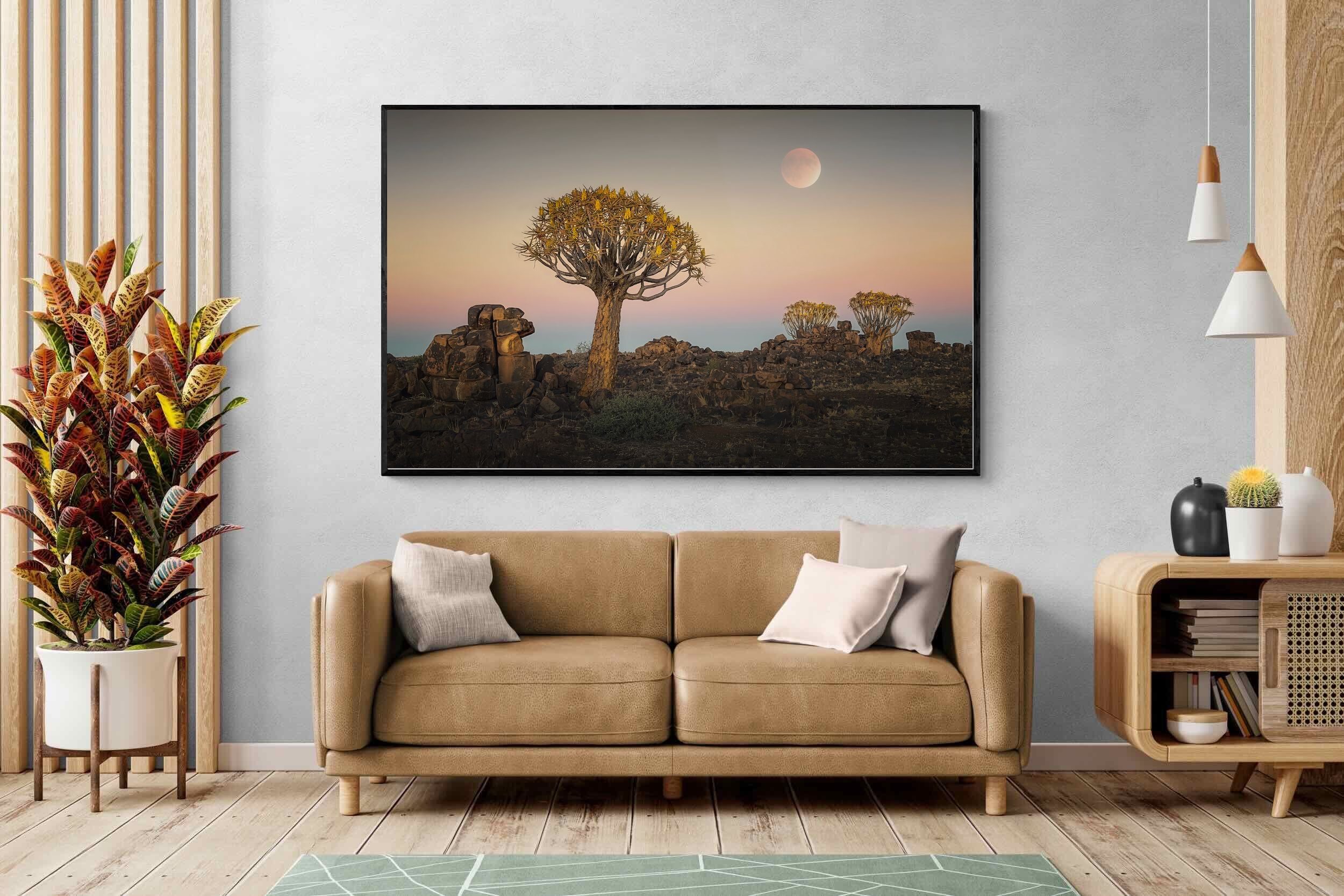 Pixalot Namibian Quiver Trees