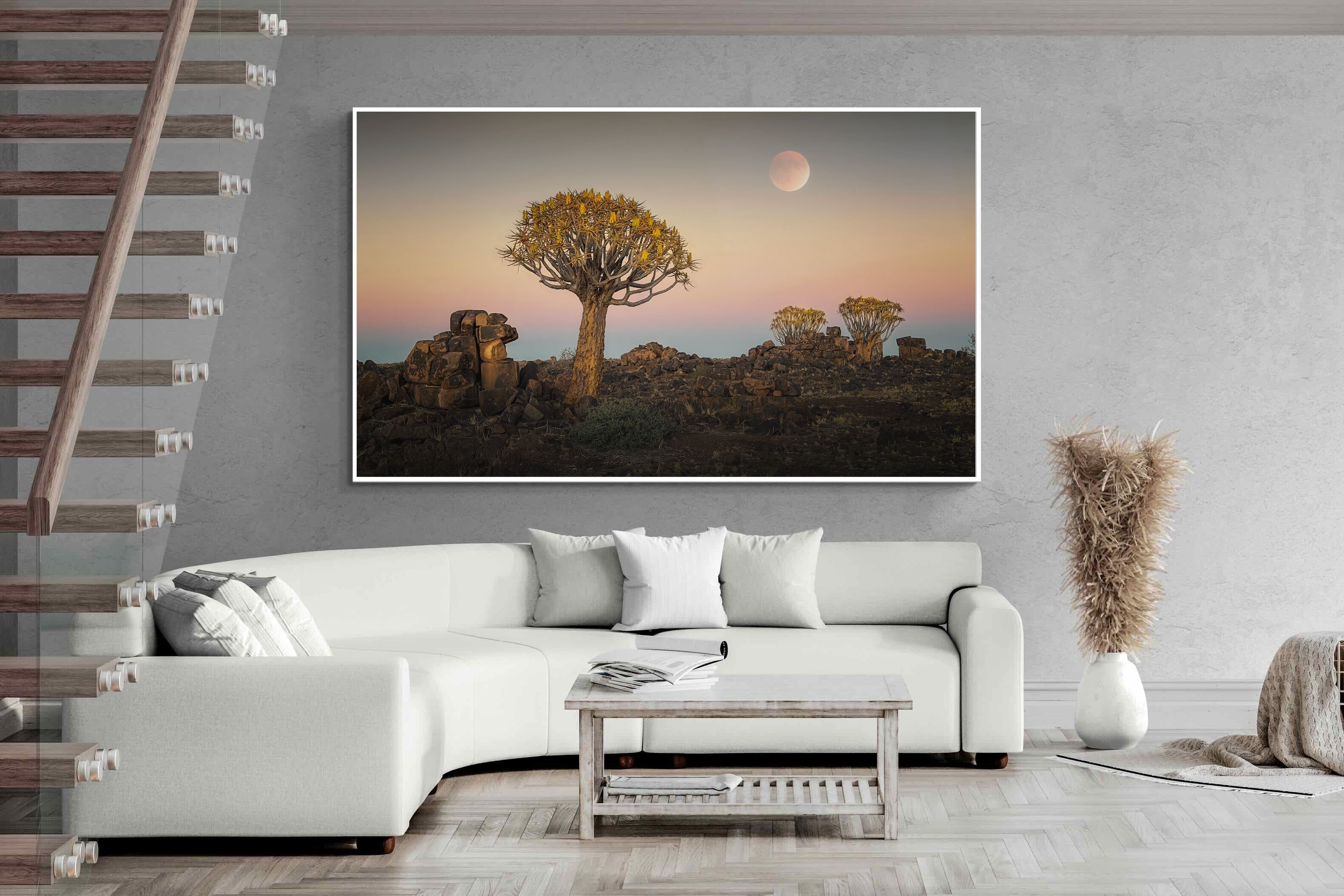 Pixalot Namibian Quiver Trees
