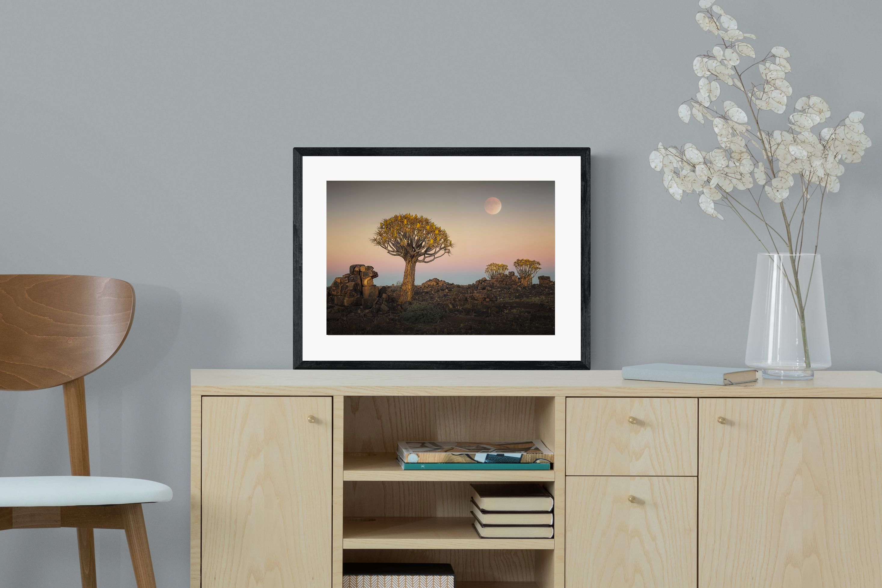 Pixalot Namibian Quiver Trees