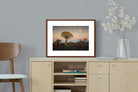 Pixalot ® Namibian Quiver Trees