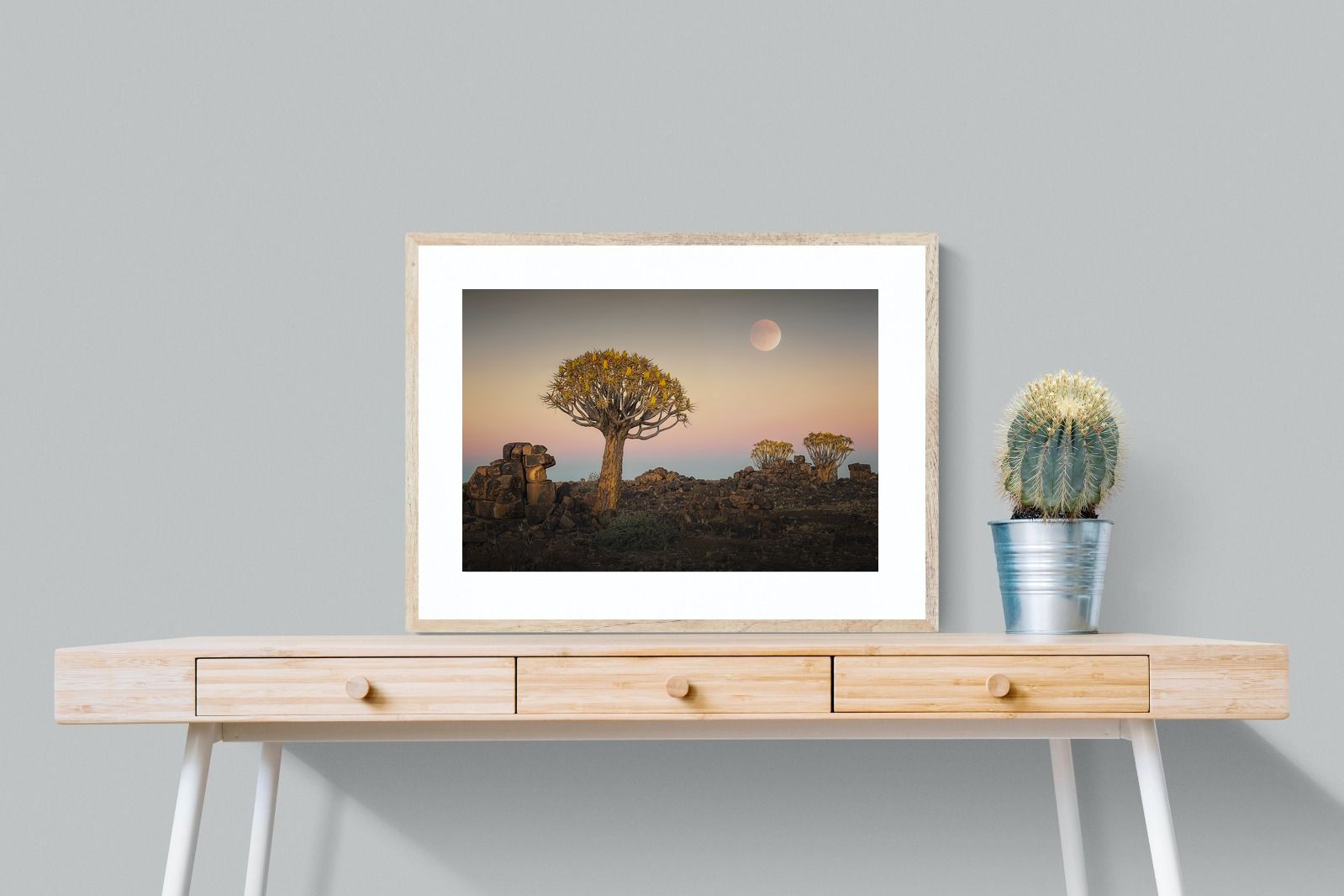 Pixalot Namibian Quiver Trees