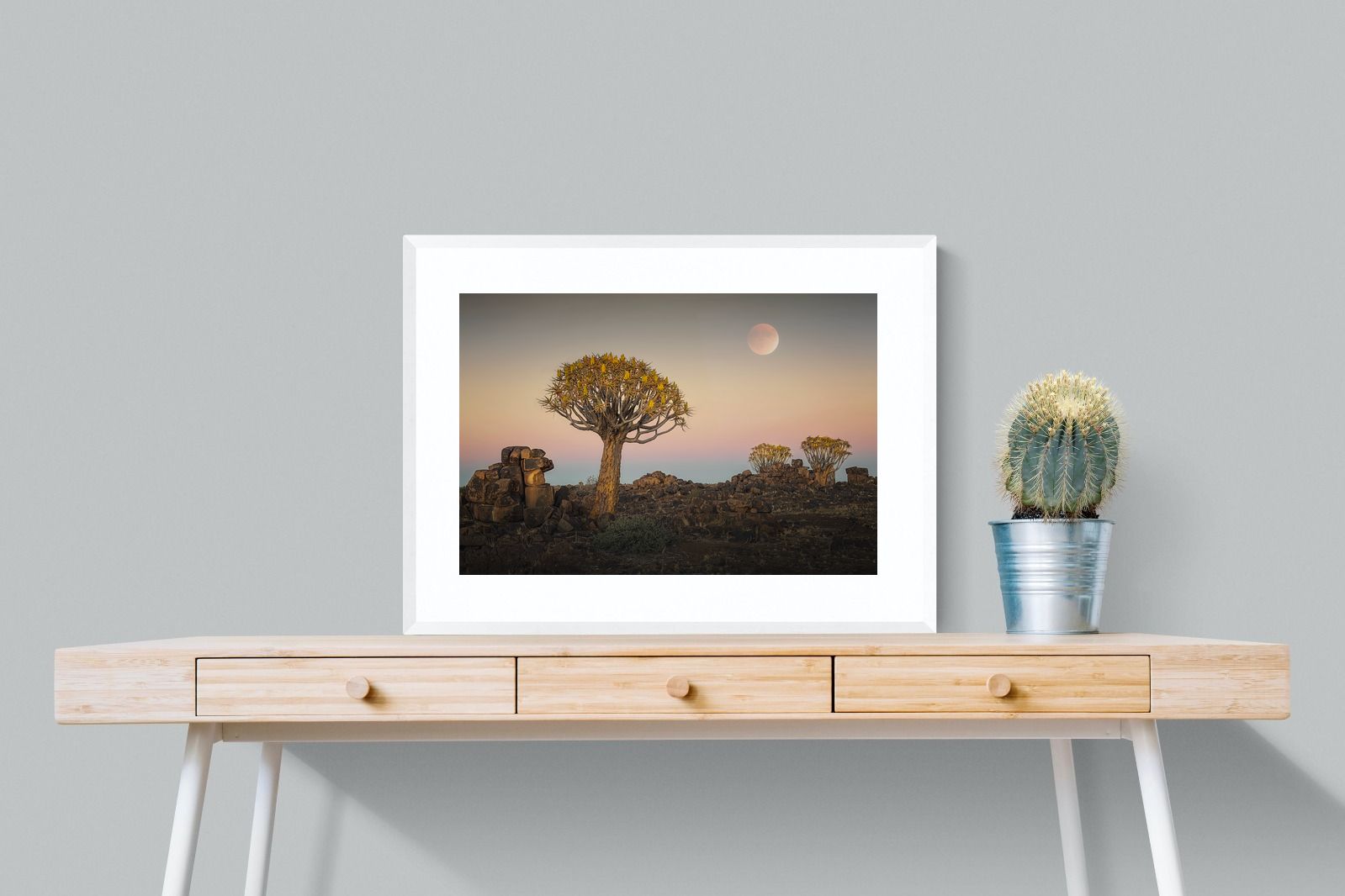 Pixalot Namibian Quiver Trees