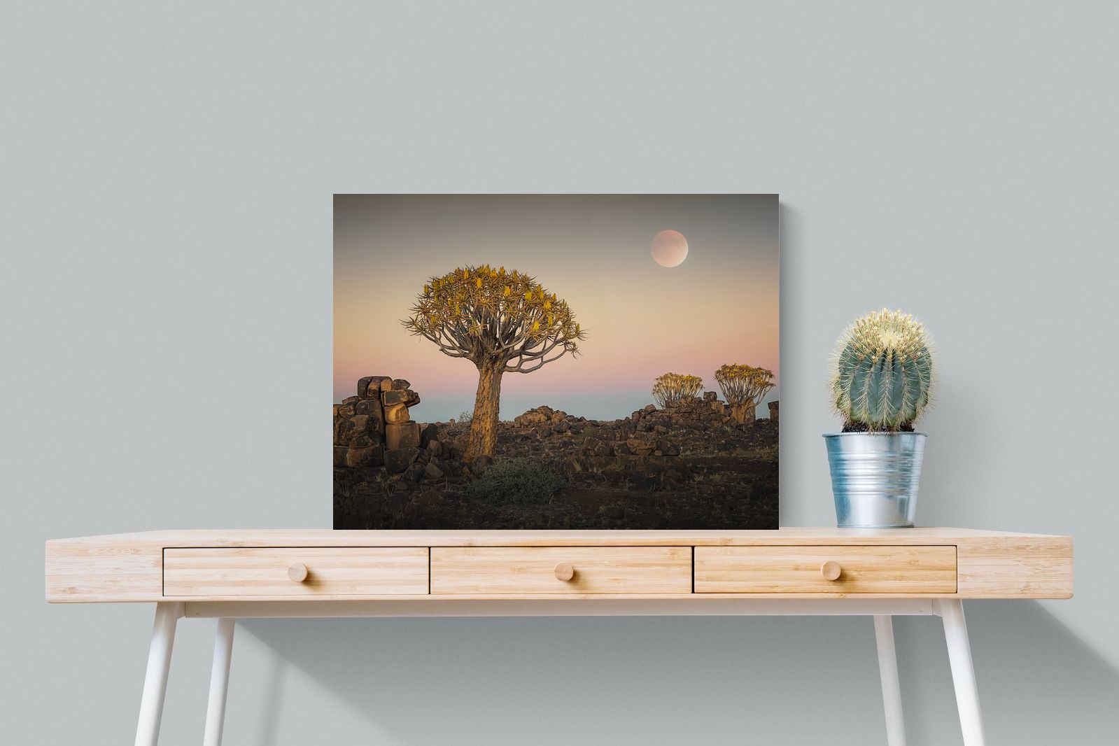 Pixalot Namibian Quiver Trees