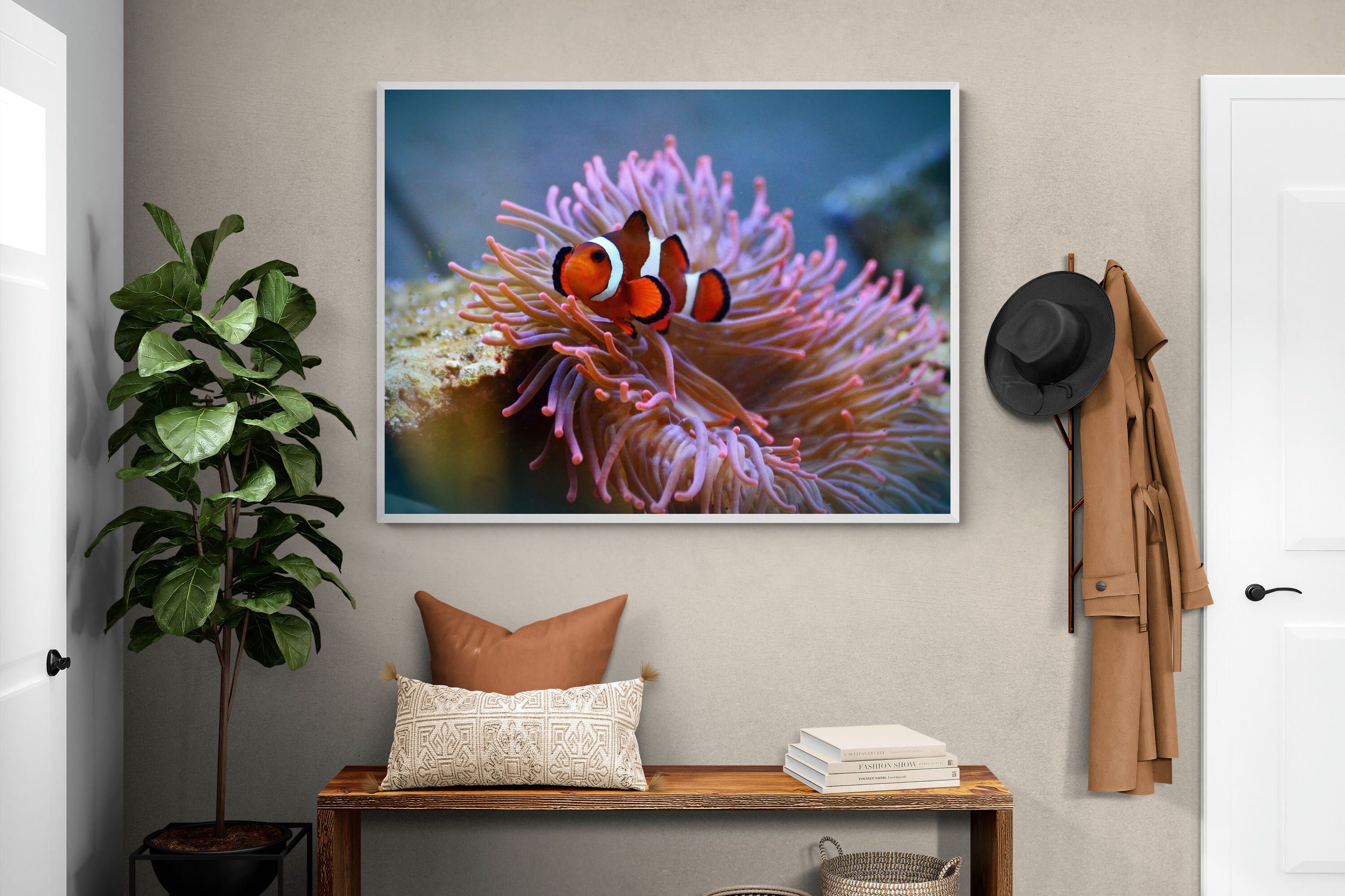 Pixalot Nemo