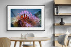 Pixalot Nemo