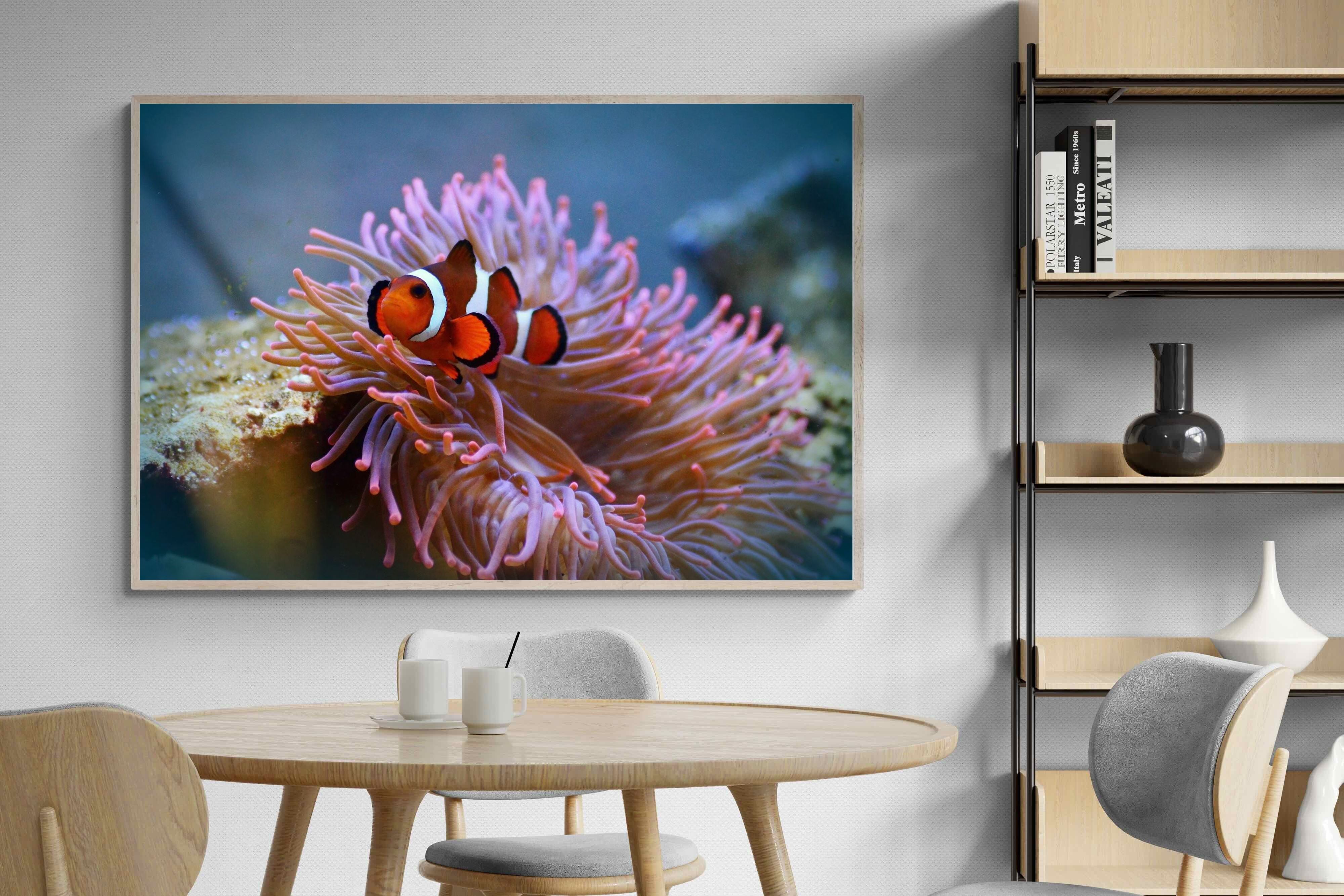 Pixalot Nemo