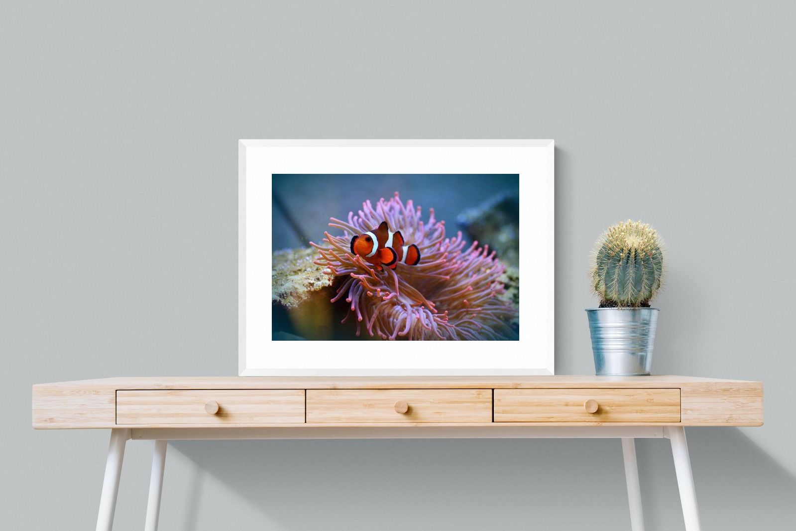 Pixalot Nemo