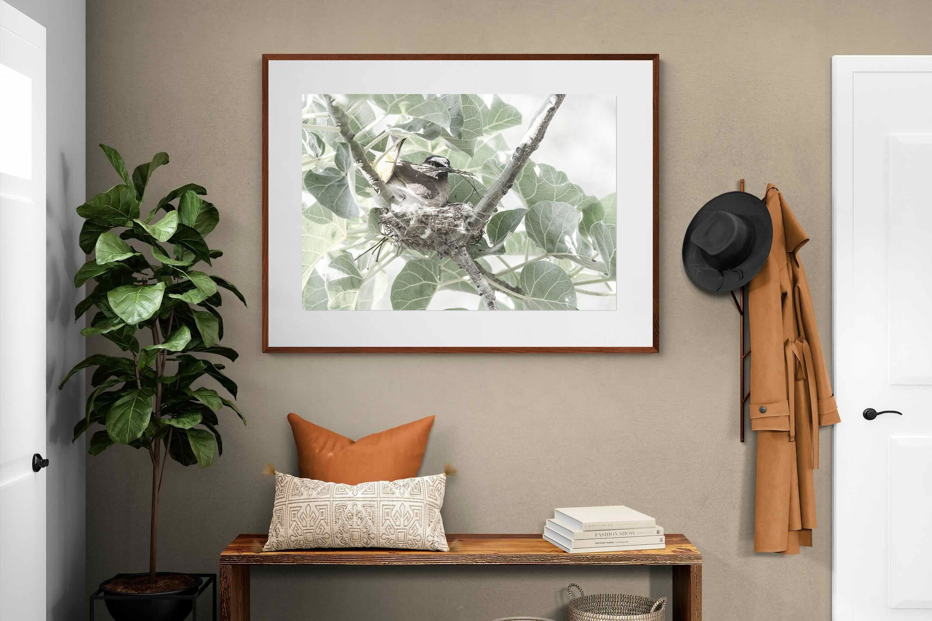 Pixalot Nesting Bulbul