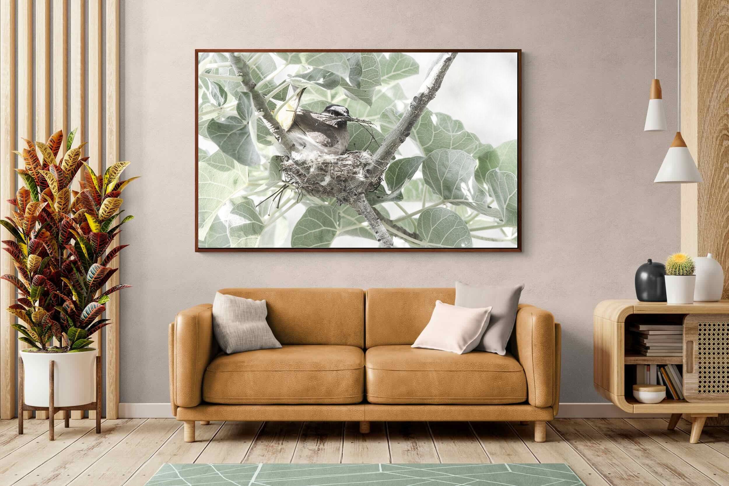 Pixalot Nesting Bulbul