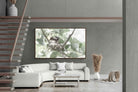 Pixalot Nesting Bulbul