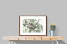 Pixalot Nesting Bulbul