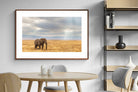 Pixalot ® Ngorongoro Ele