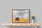 Pixalot ® Ngorongoro Ele