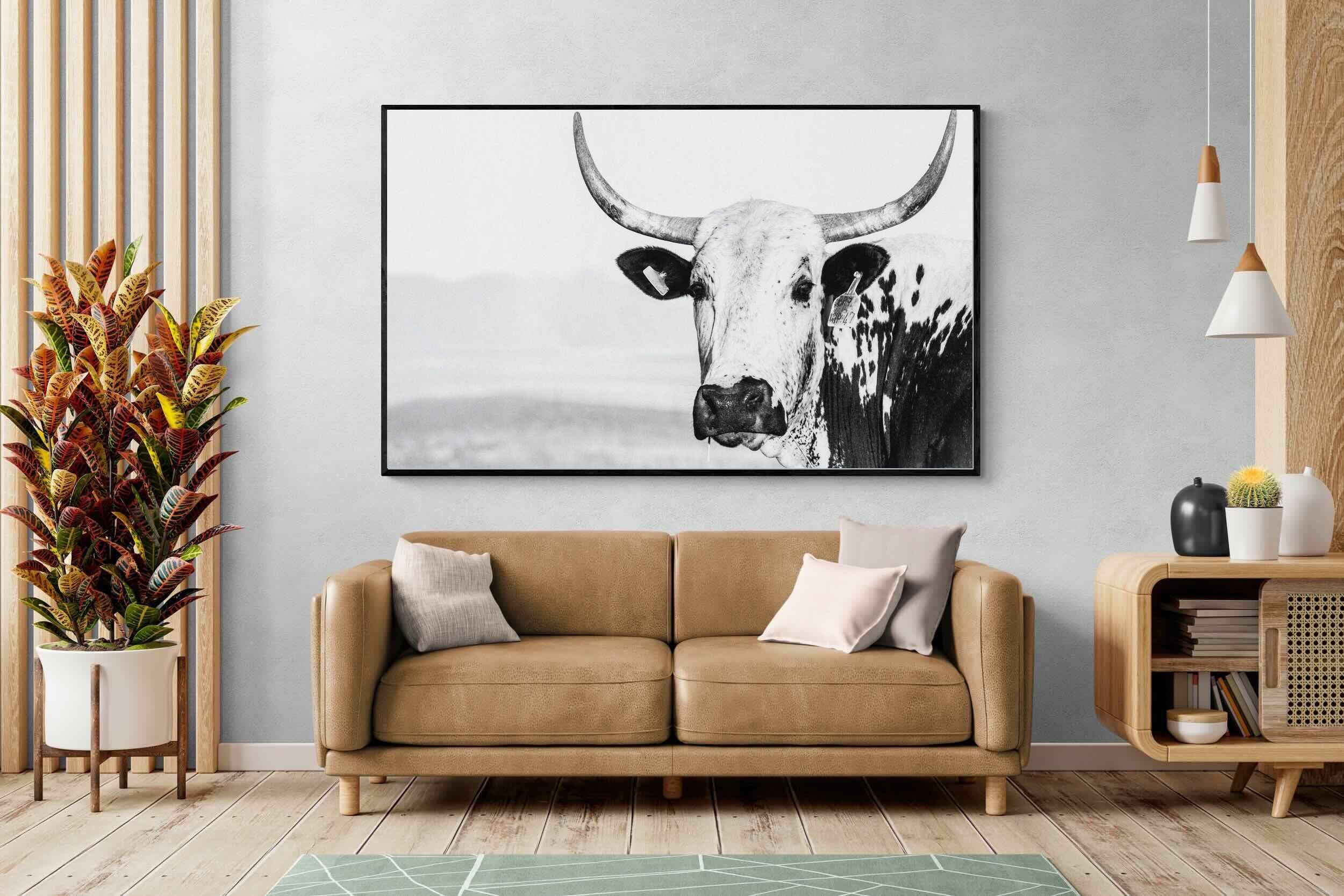 Pixalot ® Nguni