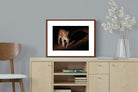 Pixalot ® Night Leopard