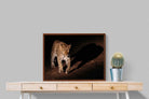 Pixalot ® Night Leopard
