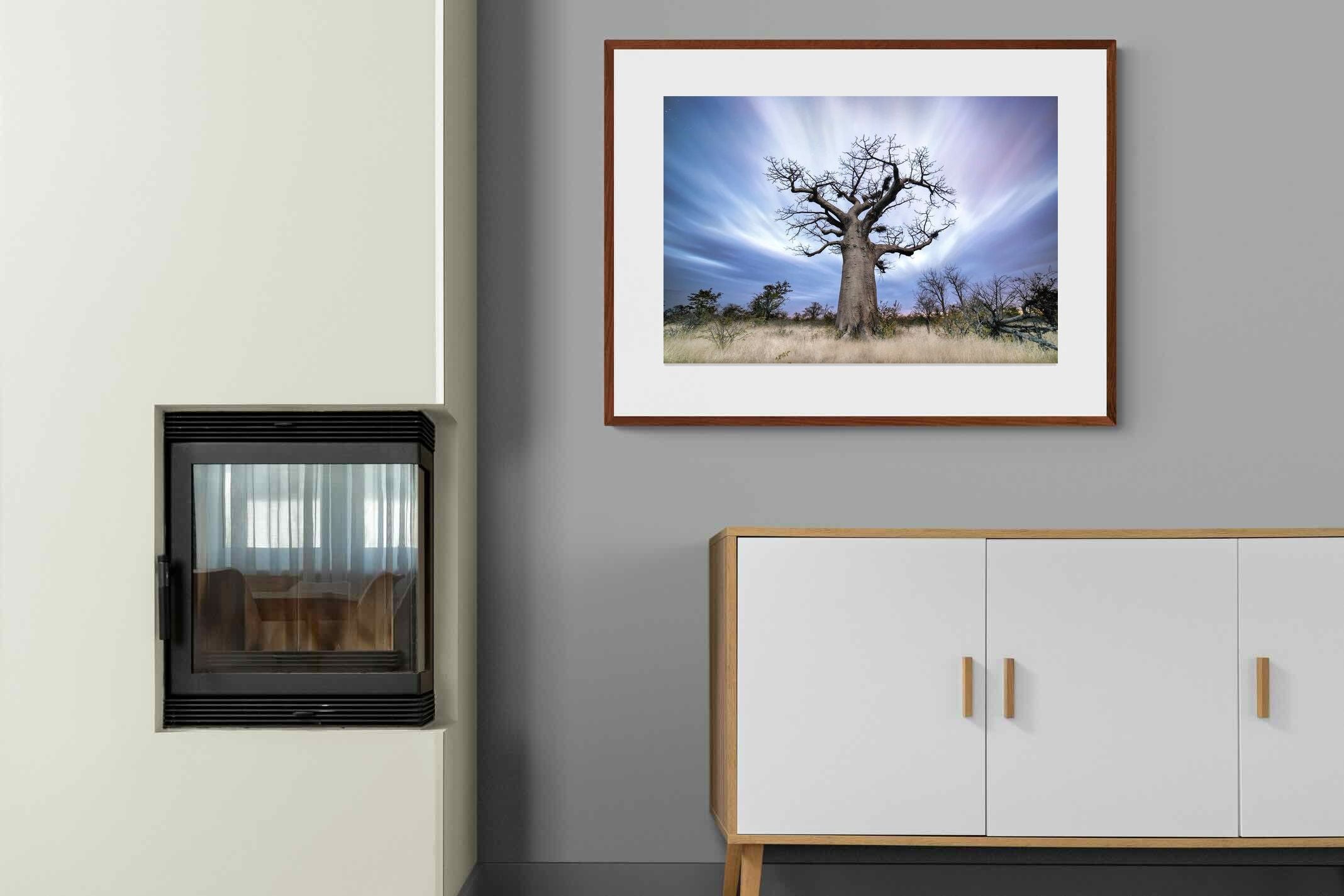 Pixalot ® Night Sky Baobab