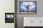 Pixalot ® Night Sky Baobab