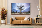 Pixalot ® Night Sky Baobab