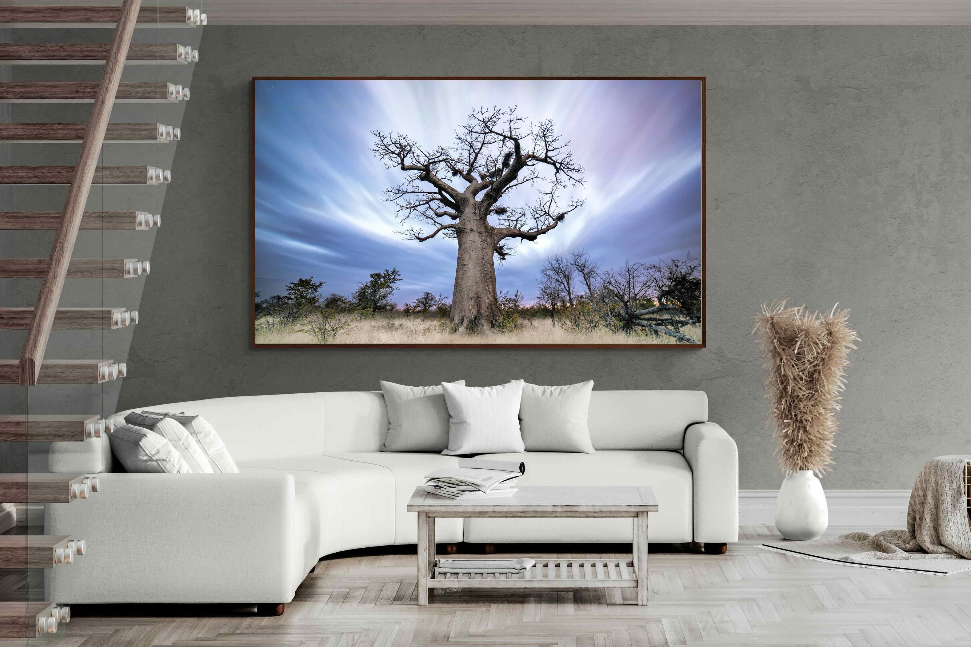 Pixalot ® Night Sky Baobab