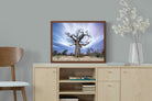 Pixalot ® Night Sky Baobab