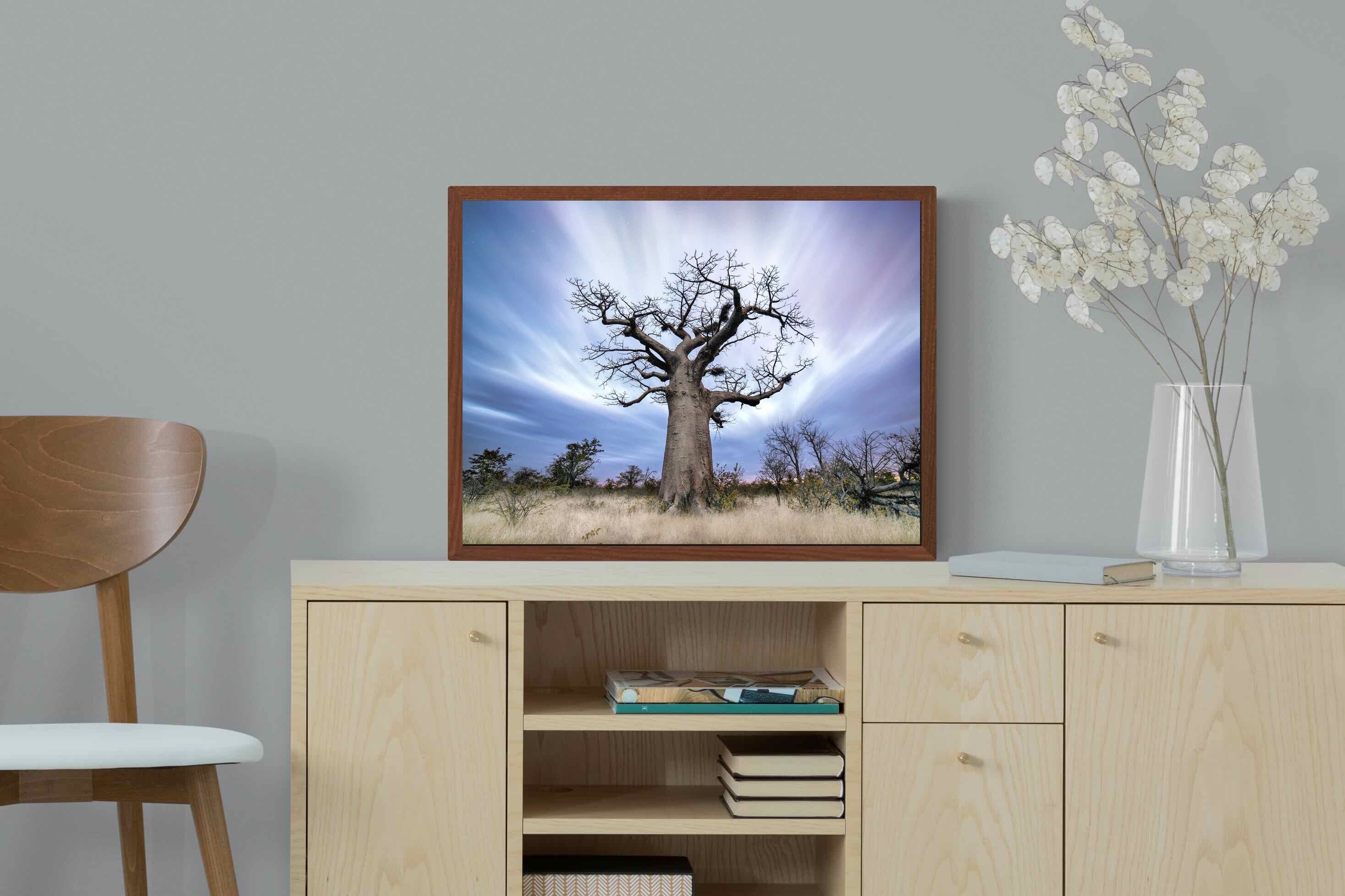 Pixalot ® Night Sky Baobab