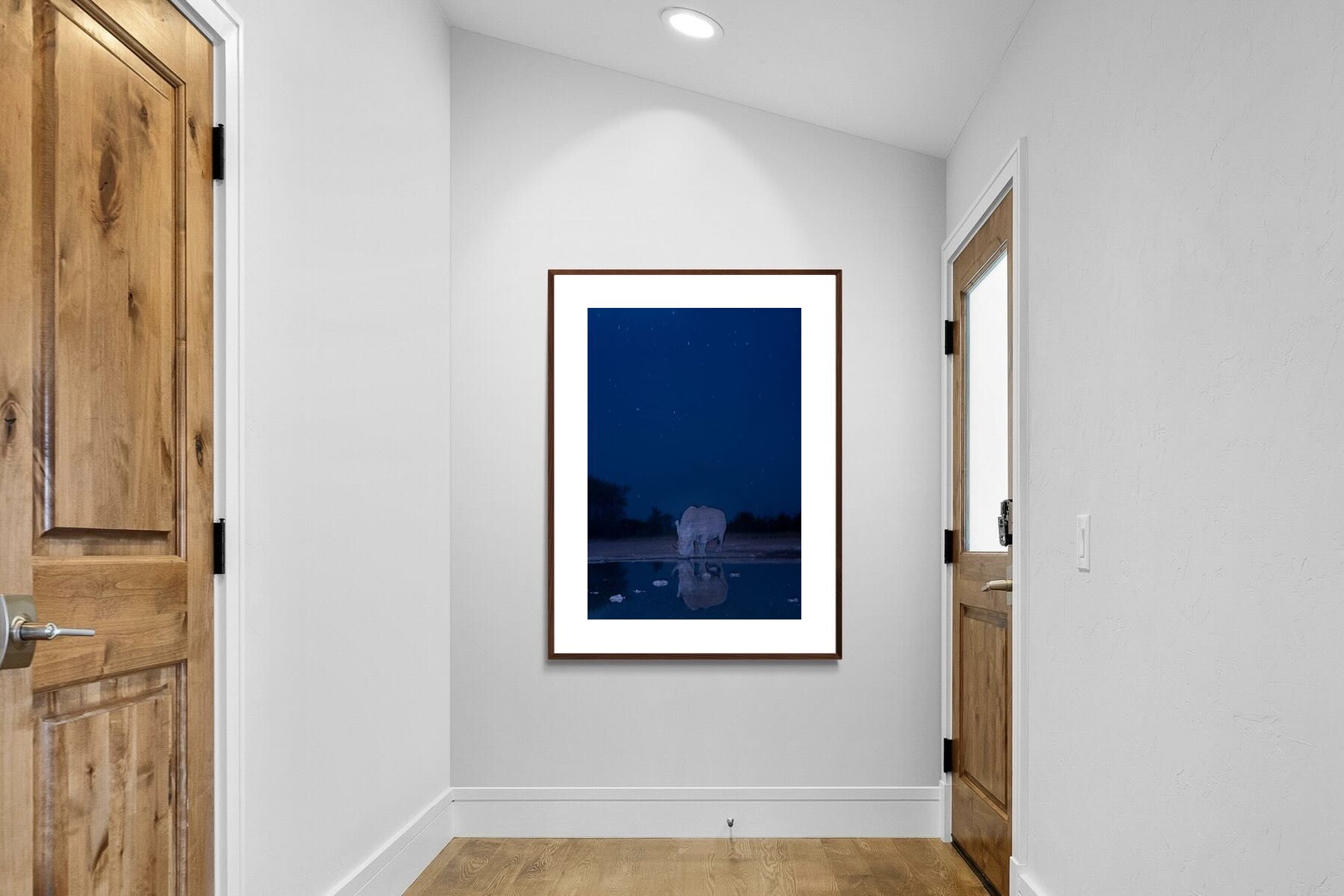 Pixalot Nocturnal Reflections