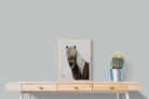 Pixalot Nordic Pony