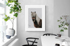 Pixalot Nordic Pony