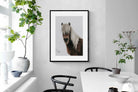 Pixalot Nordic Pony