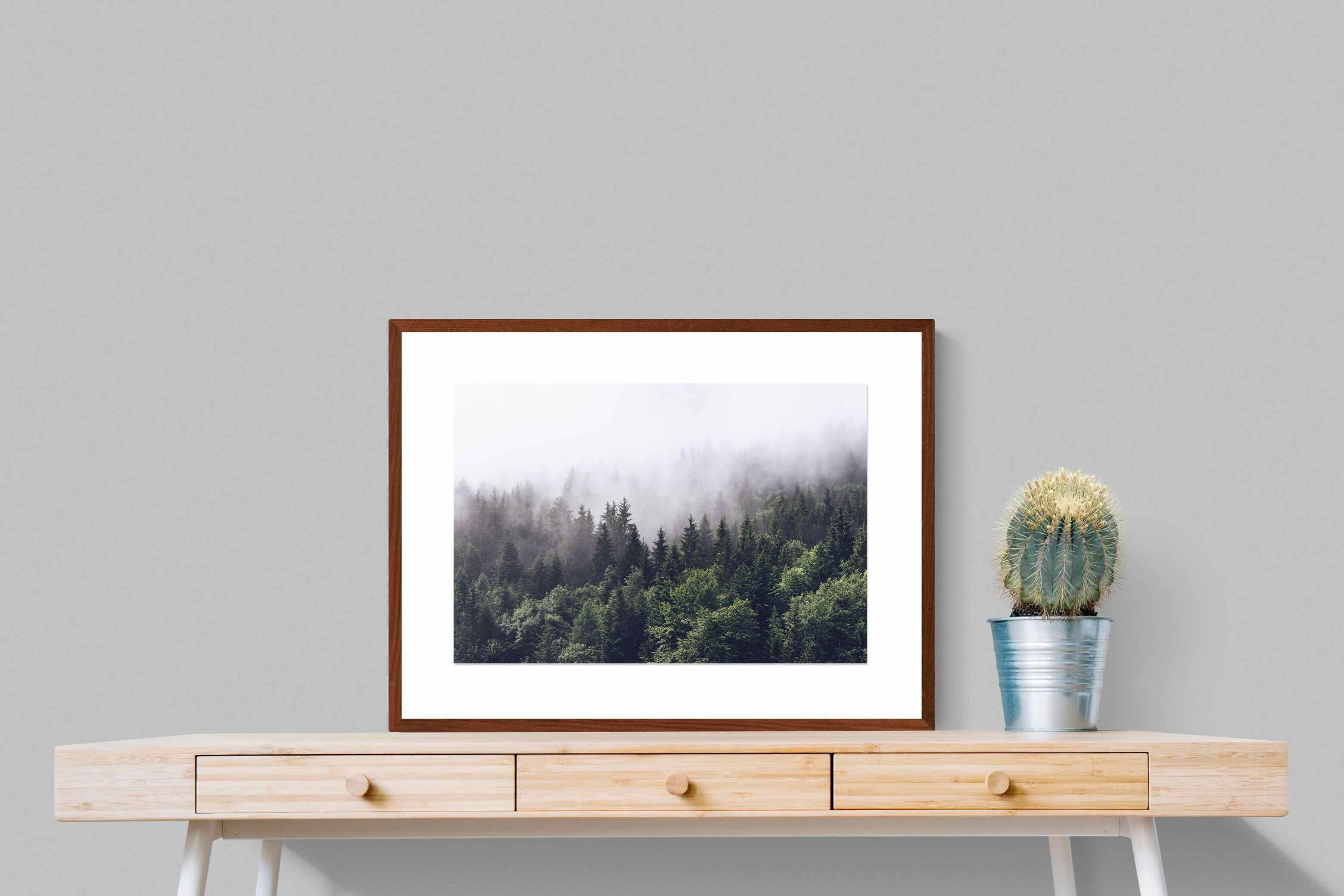 Pixalot ® Norwegian Forest