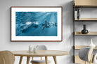 Pixalot ® Ocean Harmony