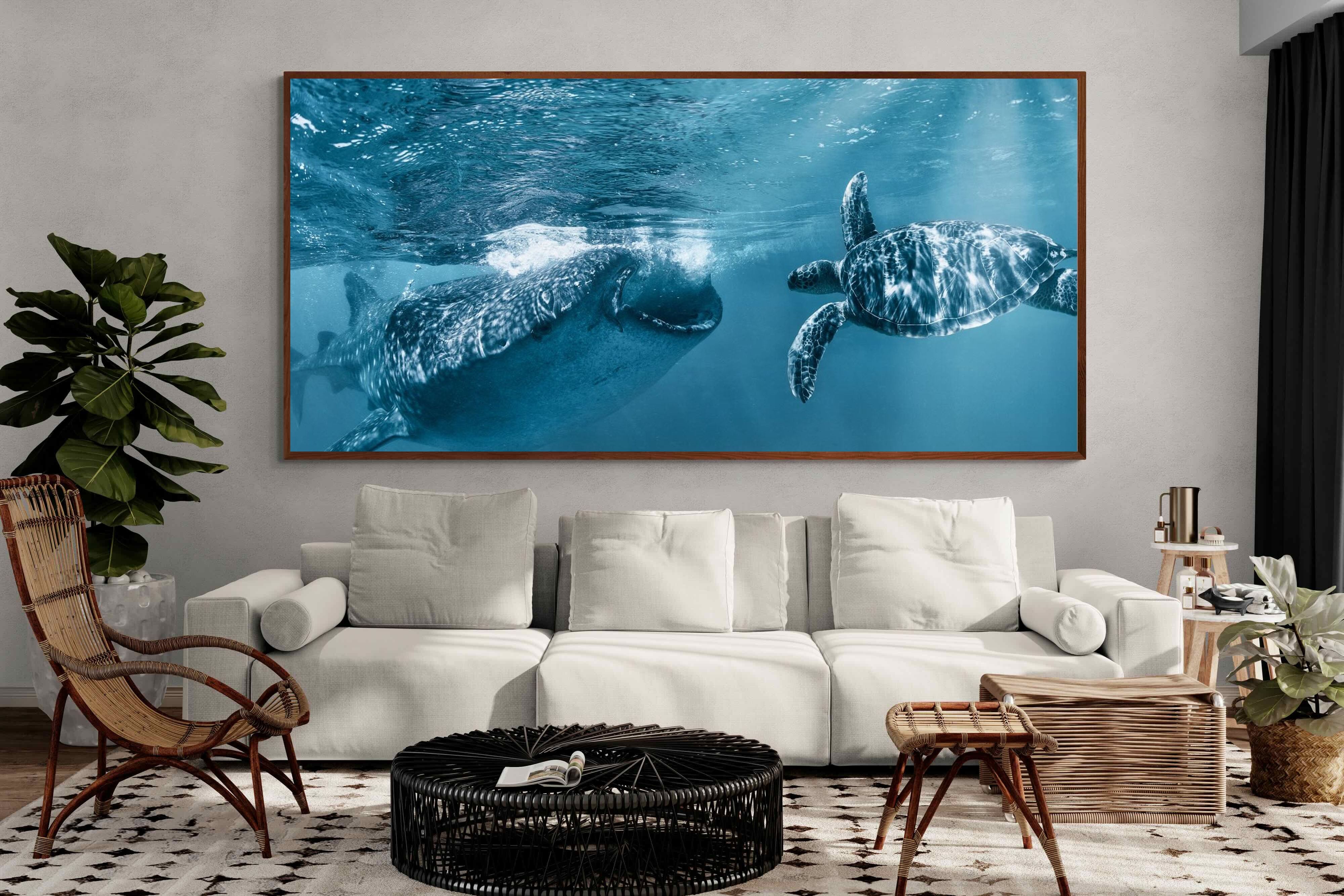 Pixalot ® Ocean Harmony