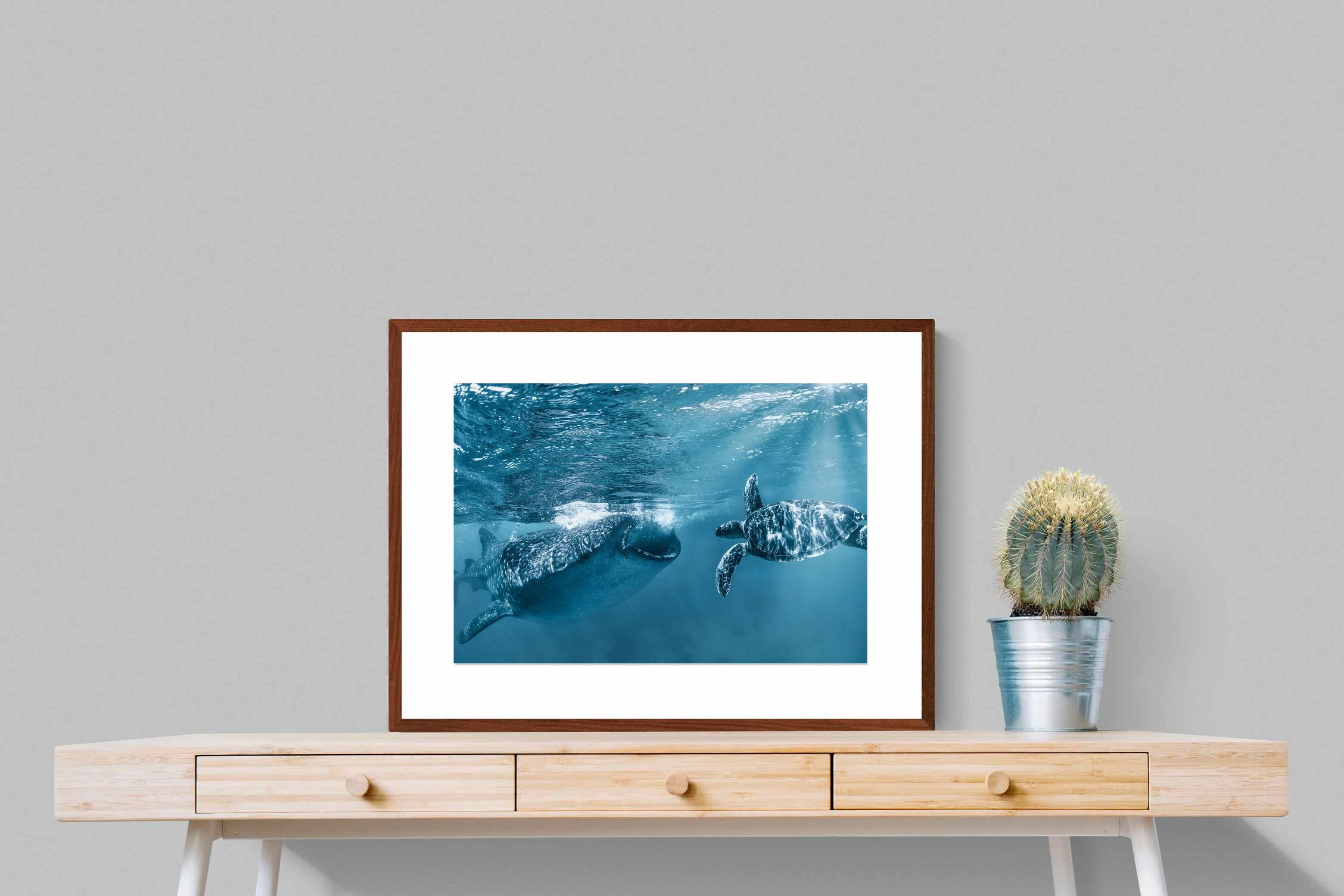 Pixalot ® Ocean Harmony