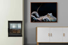 Pixalot ® Octopus