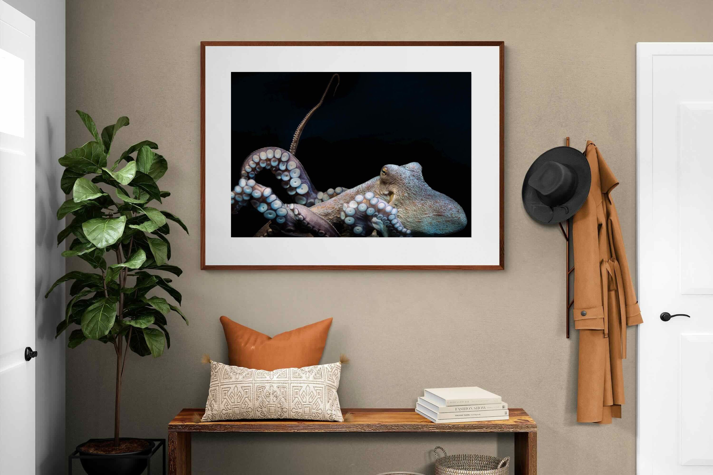 Pixalot ® Octopus
