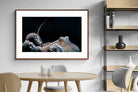 Pixalot ® Octopus
