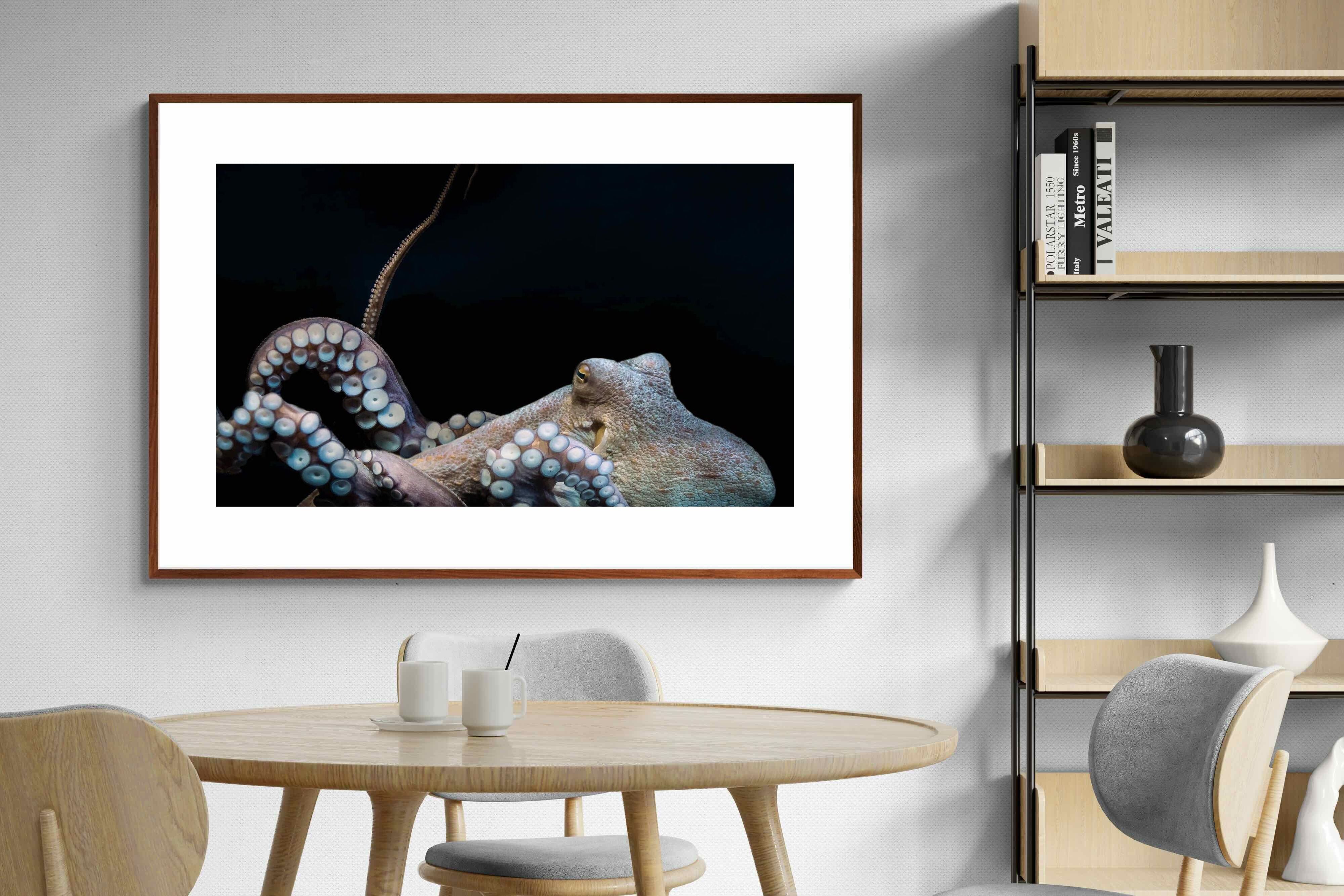 Pixalot ® Octopus