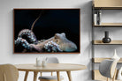 Pixalot ® Octopus
